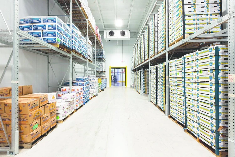 Singhania Logistics vision and approach